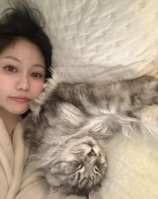 长宁大胸面条骚女